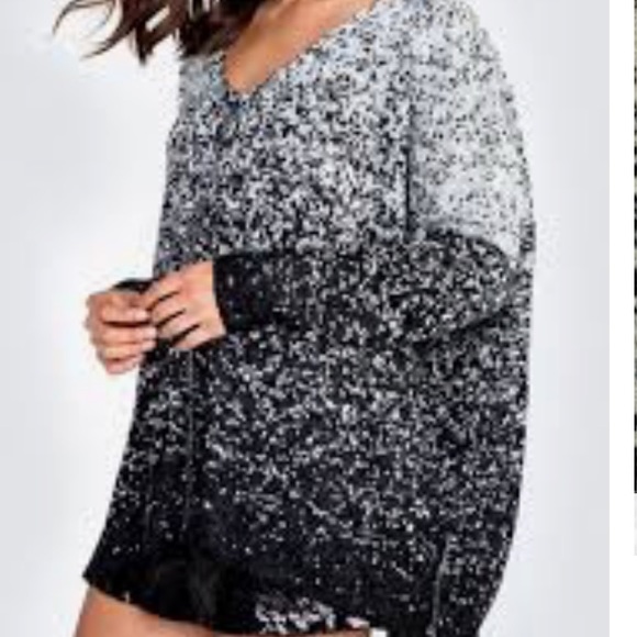 Wildfox Sweaters - Wildfox sweater